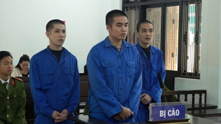 Ra tù lại rủ nhau mua bán... ma túy