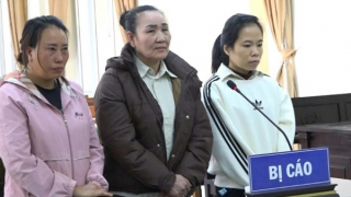 Học vấn lớp 5, làm giả sổ đỏ “qua mặt” nhân viên ngân hàng