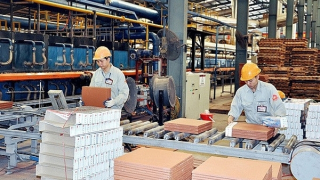 Động lực để kinh tế tư nhân “sinh trưởng khỏe mạnh” trong kỷ nguyên mới