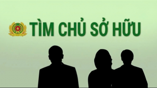 Tìm chủ sở hữu xe máy