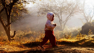 Miền Bắc trưa chiều nắng ấm, rét về đêm