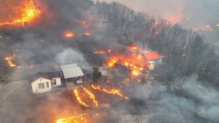 Chùa nghìn tuổi ở Hàn Quốc bị hỏa hoạn thiêu rụi