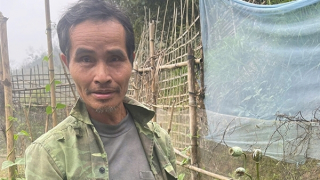 Giăng lưới, biến vườn rau thành vườn thuốc phiện