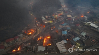 Ít nhất 15 người thiệt mạng do cháy rừng tại Hàn Quốc