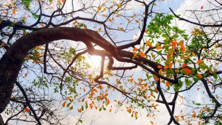 Bắc Bộ ngày nắng gió nhẹ, Nam Bộ trời nóng