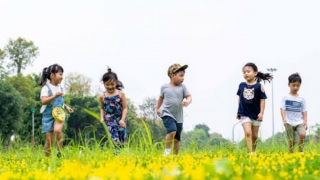 Đảng viên sinh con thứ 3 không bị kỷ luật