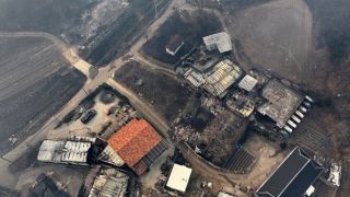 Cận cảnh thảm họa cháy rừng tồi tệ nhất lịch sử Hàn Quốc