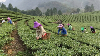 Giải pháp để 75.000 tỷ đồng đến được với các hộ nghèo đúng đối tượng