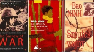 Dịch ngược và sự cần thiết với văn học Việt Nam