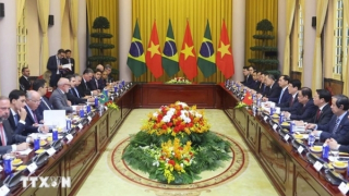 Quan hệ Đối tác chiến lược Việt Nam-Brazil ngày càng đi vào chiều sâu