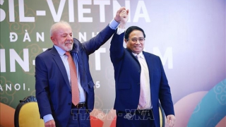 Việt Nam-Brazil hướng tới mục tiêu kim ngạch thương mại song phương 15 tỷ USD