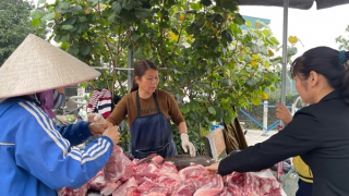 Giá lợn hơi tiếp tục giảm