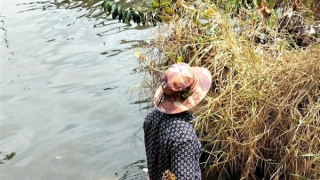 Phát hiện thi thể nam sinh lớp 10 trôi sông ở Cà Mau