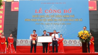 Phú Yên công bố quyết định công nhận bảo vật quốc gia Phù điêu Kala Núi Bà