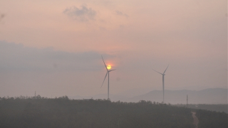 Vì sao tỉnh Đắk Nông thất thu hơn 200 tỷ đồng/năm từ một nguồn thu "trời cho"?