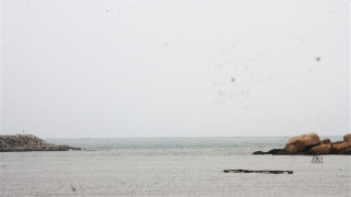 Truy tìm tung tích xác người không đầu trôi dạt vào bãi biển Phú Yên