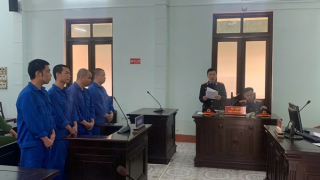 Vào bar thư giãn với... ma túy, 4 bị cáo chia nhau hơn 28 năm tù