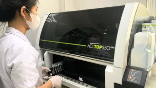 Cảnh giác với bệnh ung thư máu hiếm gặp