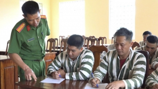 Mong ngày trở về