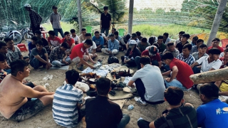 Trường gà trong vườn thu hút cả trăm con bạc “khát nước” mỗi ngày