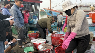 Đẩy mạnh ứng dụng công nghệ số trong khai thác thủy sản