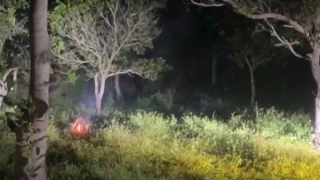 Game ảo, hậu quả thật