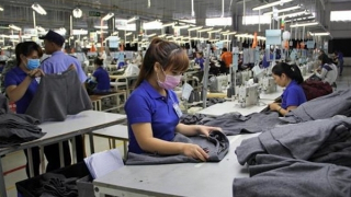 Liên kết doanh nghiệp để tiếp cận vốn tín dụng