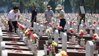 Sâu thẳm Trường Sơn