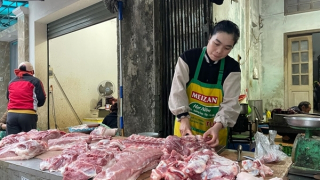 Giá lợn hơi miền Bắc tăng cao nhất ở mức 69.000 đồng/kg