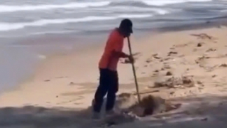 Chôn lấp rác thải trên bãi biển, nhân viên khu du lịch bị xử phạt