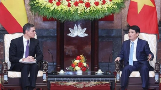 Chủ tịch nước Lương Cường tiếp Thủ tướng Tây Ban Nha Pedro Sánchez