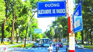 Bao giờ “châu về Hợp Phố” tấm bia quý?