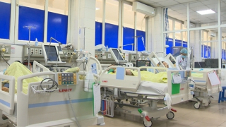 Người lớn đầu tiên tử vong do mắc sởi