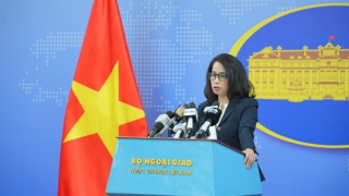 Mỹ ngừng đánh thuế đối ứng trong 90 ngày với Việt Nam là bước đi tích cực