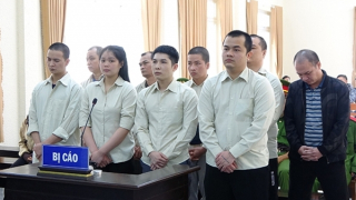 “Đánh thuốc” các nạn nhân để lừa đảo, 9 bị cáo lãnh 112 năm tù