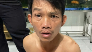 Bắt kẻ hiếp dâm, cướp tài sản trong vườn điều