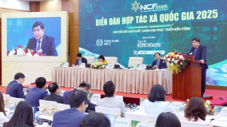 Tổ chức kinh tế tập thể cần tăng cường đầu tư vào chuyển đổi xanh, công nghệ xanh