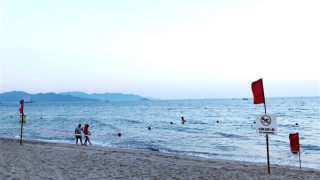 Lập phương án xử lý sau các vụ du khách tắm biển Nha Trang đụng vật sắc nhọn