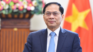 Hội nghị thượng đỉnh P4G: Cơ hội để Việt Nam khẳng định những cam kết mạnh mẽ