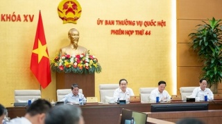 Cử tri đồng tình việc triển khai quyết liệt sắp xếp, tinh gọn tổ chức bộ máy