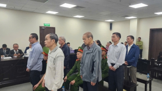 Xét xử vụ án tại Vinatea: Lộ diện hàng loạt sai phạm liên quan đến đất đai