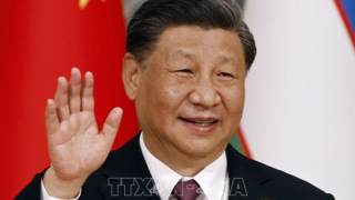 Thông tin cơ bản về đồng chí Tập Cận Bình