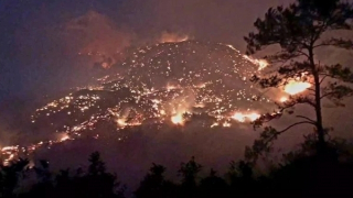 Phó Thủ tướng Trần Hồng Hà chỉ đạo tập trung khắc phục nhanh hậu quả do cháy rừng tại Quảng Ninh