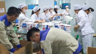 Gần 600 loại sữa bột bị làm giả: Những nguy hại khó lường với người sử dụng