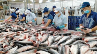 Ngân hàng “bơm” 100.000 tỷ đồng cho nông, lâm, thuỷ sản