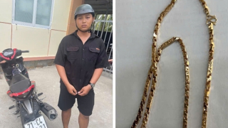 Đá gà thiếu nợ, đi cướp tiệm vàng để trả