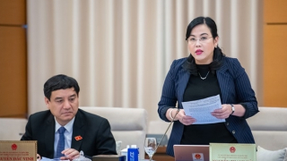 Đại biểu nêu vụ 600 loại sữa giả bán công khai 4 năm: Văn bản pháp luật có "lỗ hổng" hay không?