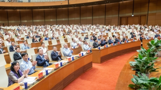 Tổng Bí thư Tô Lâm dự, chỉ đạo Hội nghị toàn quốc triển khai thực hiện Nghị quyết Hội nghị Trung ương 11