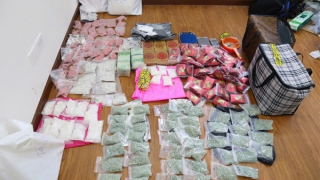 Người phụ nữ bị bắt cùng 24,8kg ma túy và 1 khẩu súng