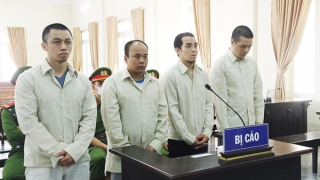 Bảo vệ rủ bạn tù gây 9 vụ trộm tại công ty